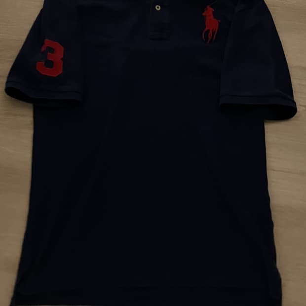 폴로 빅포니 반팔