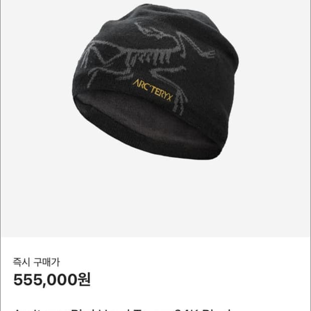 아크테릭스 버드헤드 토크 24k 비니