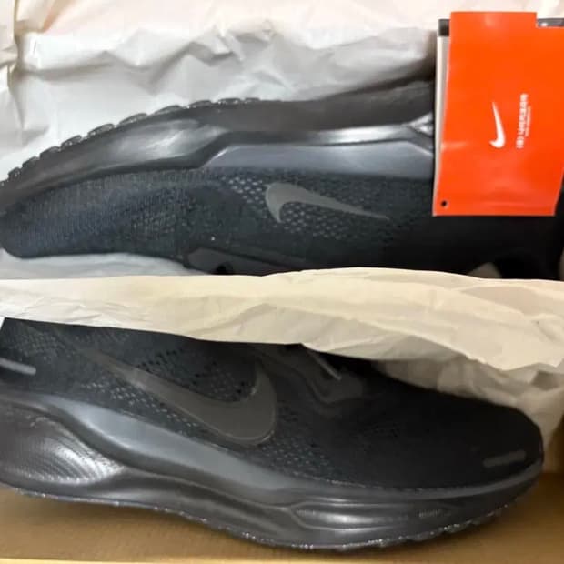 페가수스 41 블랙