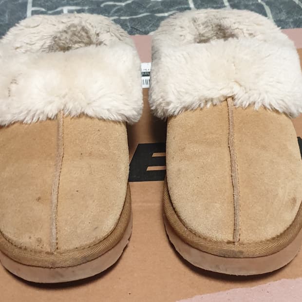 누오보 타제트 양털 어그 체스트넛 (240)