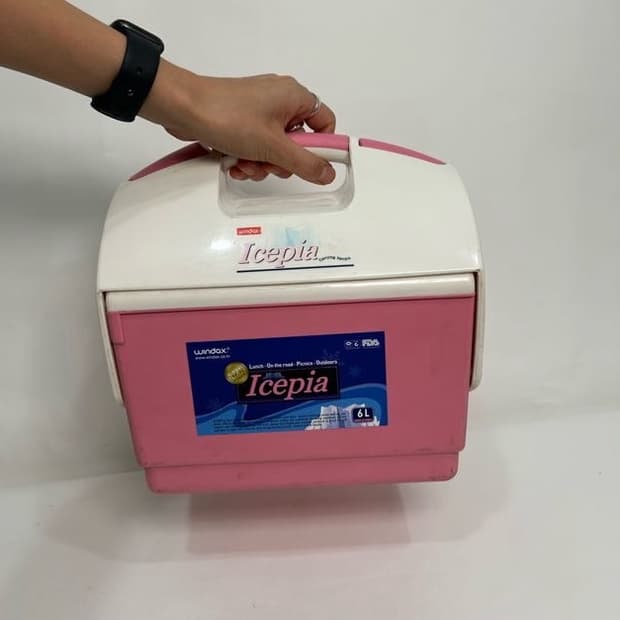Wondox Icepia 핑크 아이스박스 (6L)