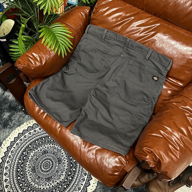 Dickies carpenter