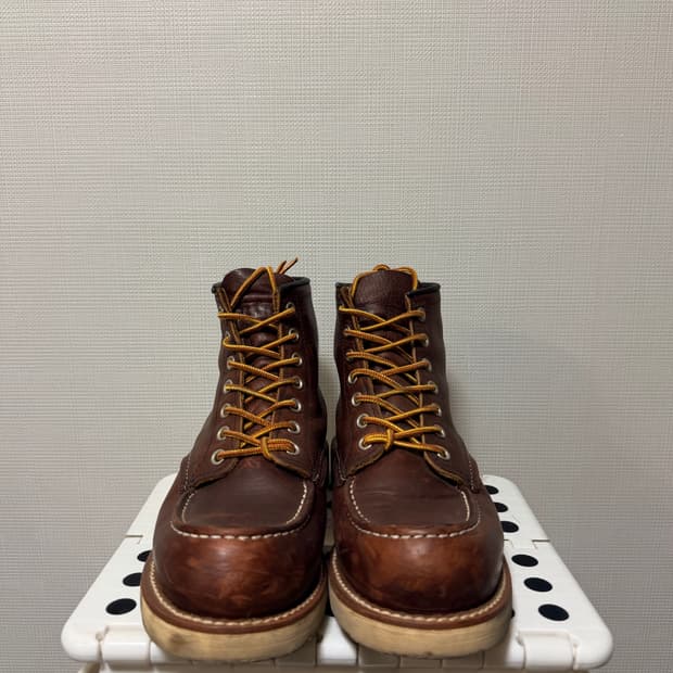 레드윙 목토 us6 240