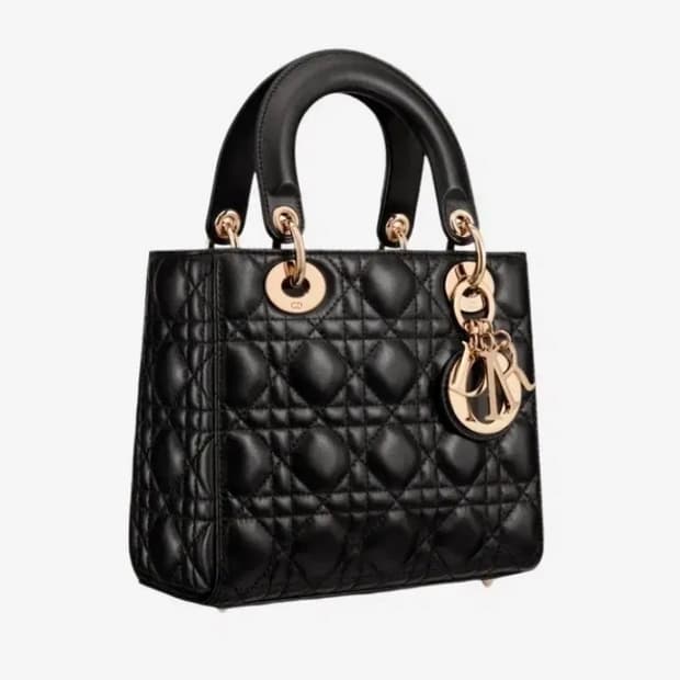 디올 레이디백 미디엄 새상품