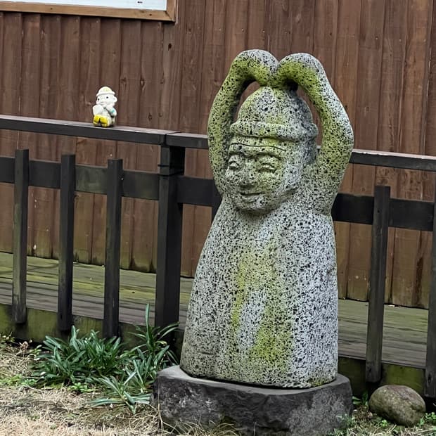 베이프 x 엠부쉬 샤크 후드집업 결제창