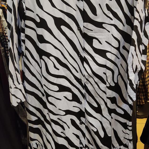 자라 지브라 셔츠 드레스
