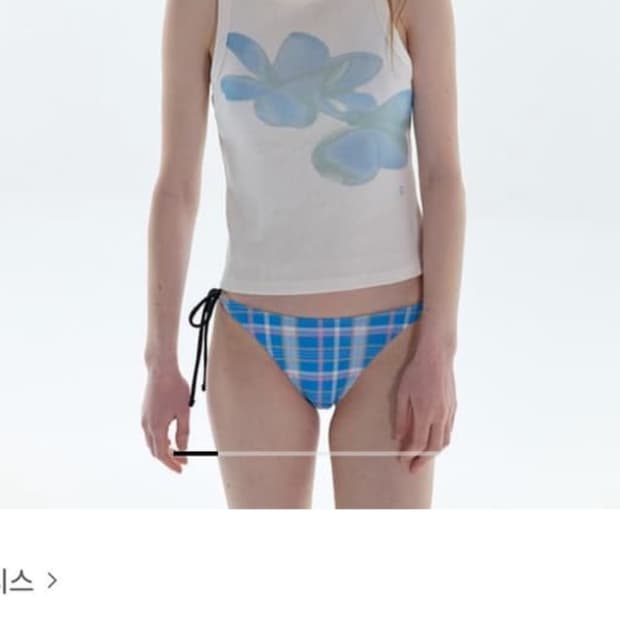파이시스 슬리브리스