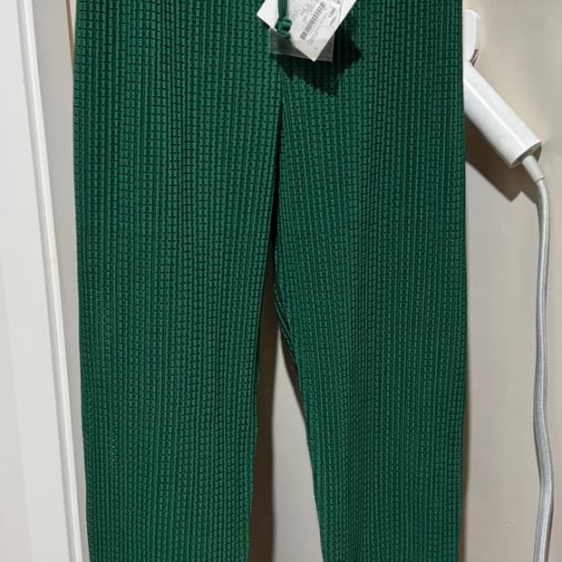 이세이 미야케 옴므 플리츠 그린팬츠