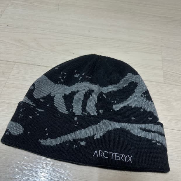 아크테릭스 비니