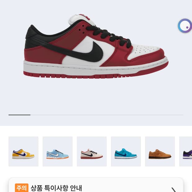 나이키 덩크 로우 프로 260
