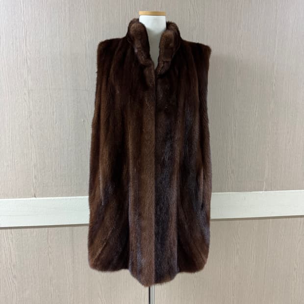 진도 아메리칸퍼워드 브라운 베스트