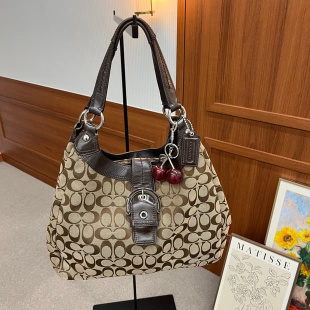 Coach Brown Big Shoulder Bag