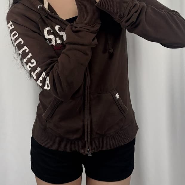 홀리스터 브라운 후드집업