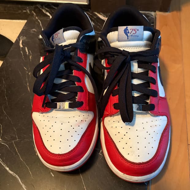 나이키 x NBA 덩크 로우 레트로 EMB 블랙 앤 칠리 260