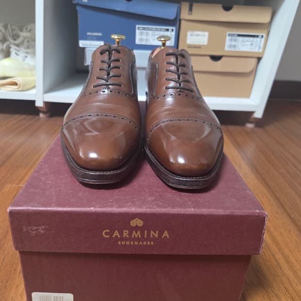 Carmina 브라운 캡토우 슈즈