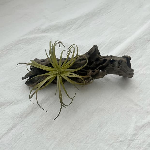wood object 041