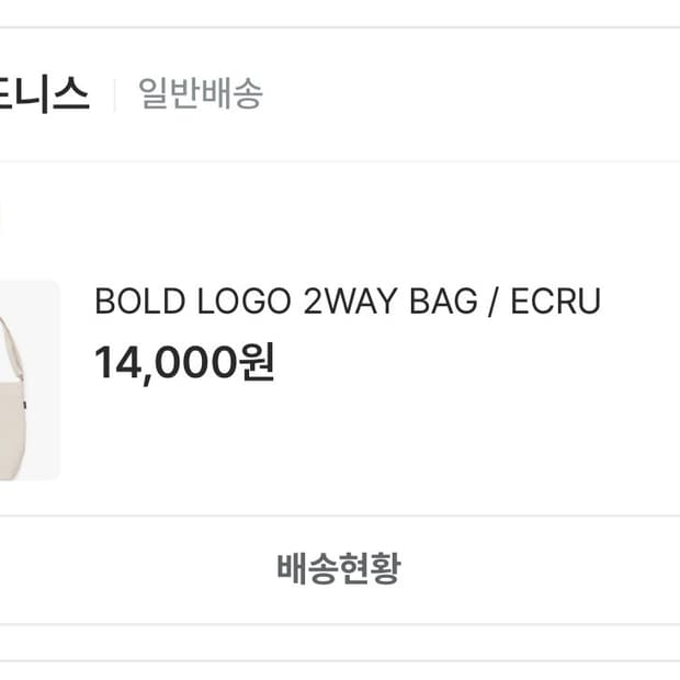 네이키드니스 에코백