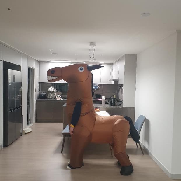 에어슈트 말 코스튬