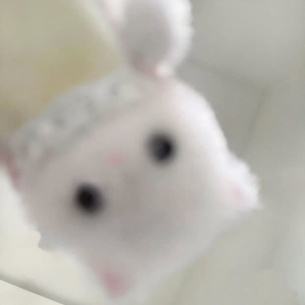 올림푸스 뮤 7040 구매원해요!
