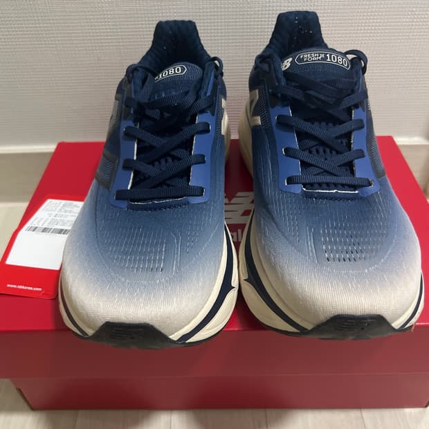 뉴발란스 1080 v14 2E 275
