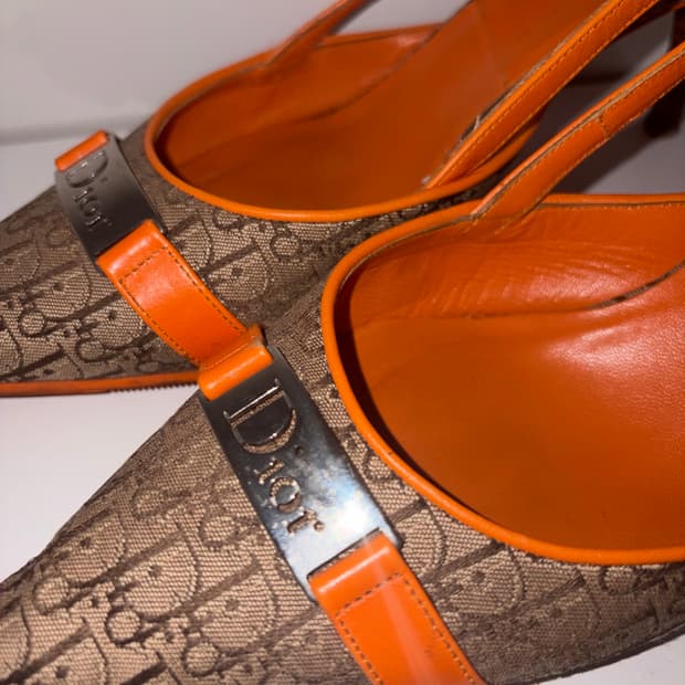 Christian Dior Buckle Heels 디올 오블리크 펌프스
