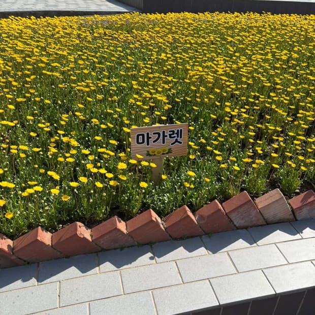 ㅅㄴ님 결제창