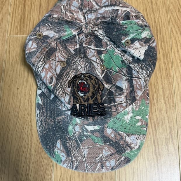 Aries 캡 모자 
