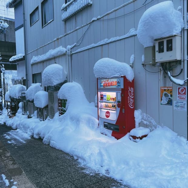 * 12/8(월)~12(금) 동안 배송이 어렵습니다