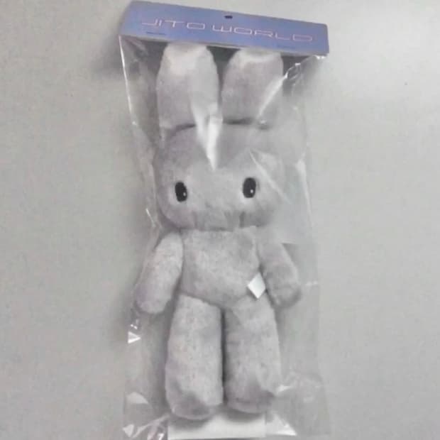 지초이 2023 롱토 지토