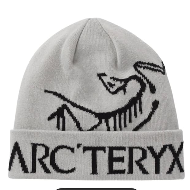 아크테릭스 버드 워드 토크 비니 오르카