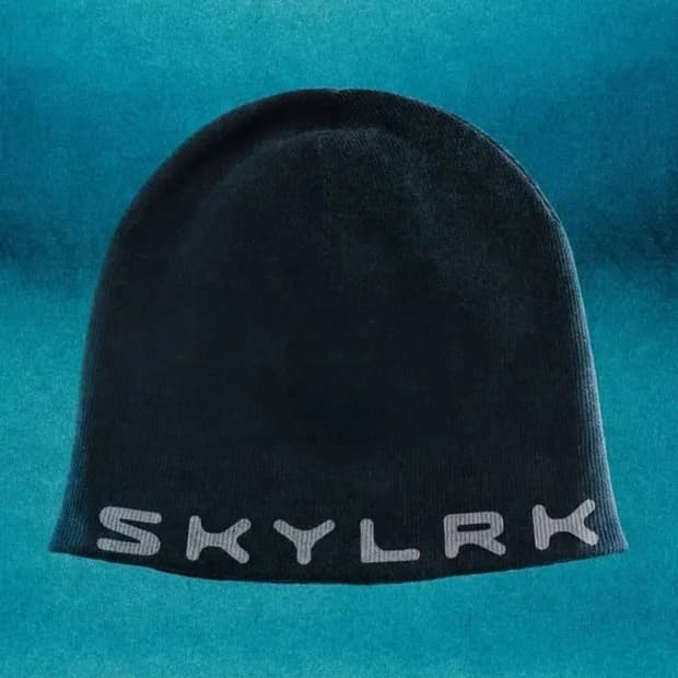 SKYLRK 스컬캡 비니