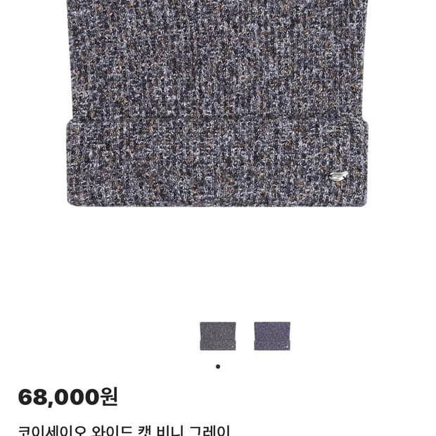 코이세이오 와일드캣 비니 그레이