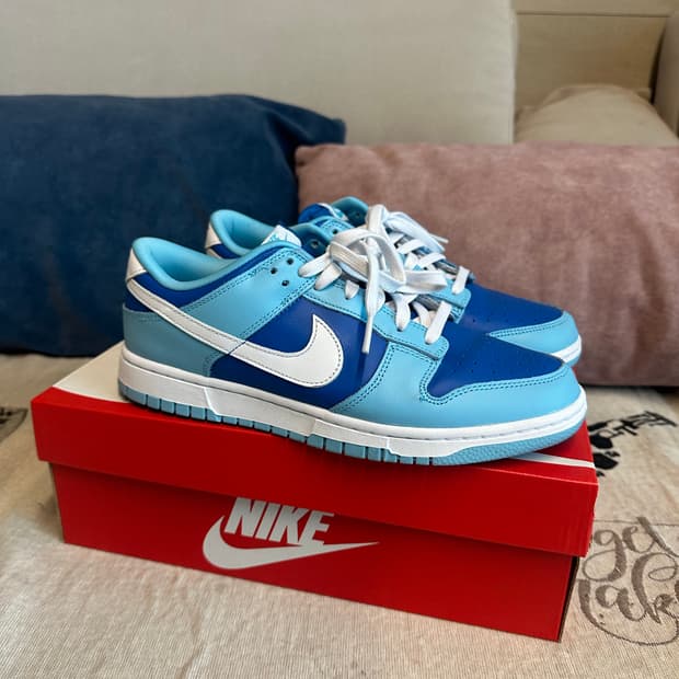 나이키 덩크 로우 레트로 아르곤 265mm