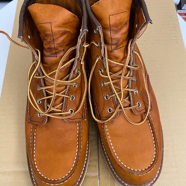 레드윙 목토 875 (10e)