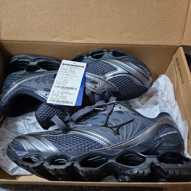 미즈노 웨이브 프로페시 LS 오디세이 그레이블랙 270