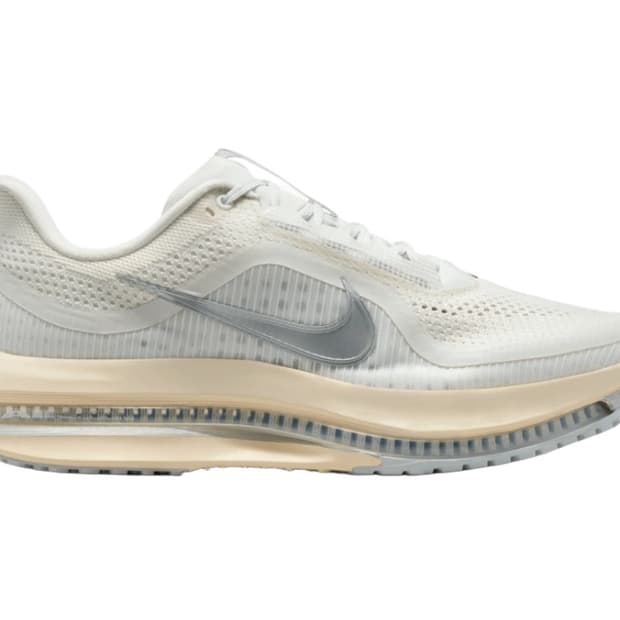 [275]나이키 에어 줌 페가수스 프리미엄 플래티넘 틴트 실버