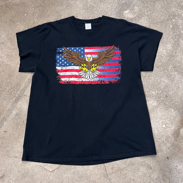 빈티지 성조기 Bald Eagle 그래픽 티