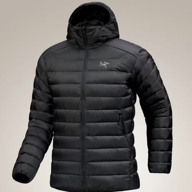 아크테릭스 세륨 후디 블랙