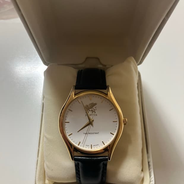 주피터 파프 시계 