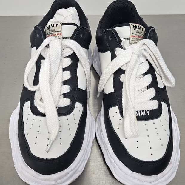 미하라야스히로 웨인 범고래(44)