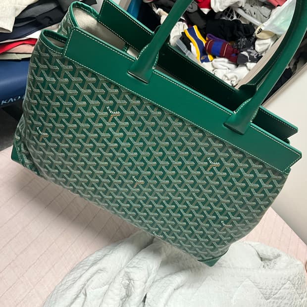 고야드 벨샤스 그린