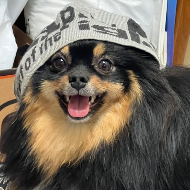 teket beanie