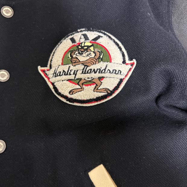 할리&워너브라더스 콜라보 바시티자켓