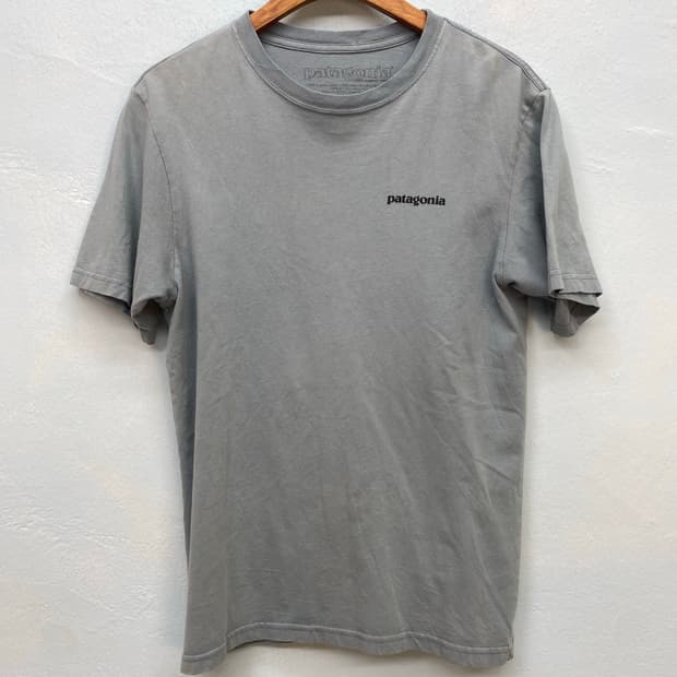 Patagonia gray tee