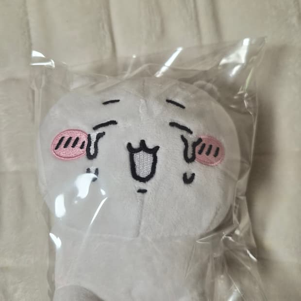 눈물 치이카와 인형