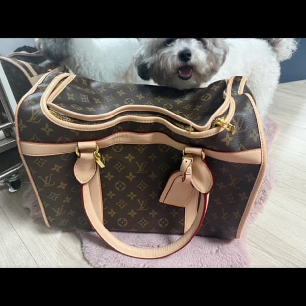 강아지이동가방