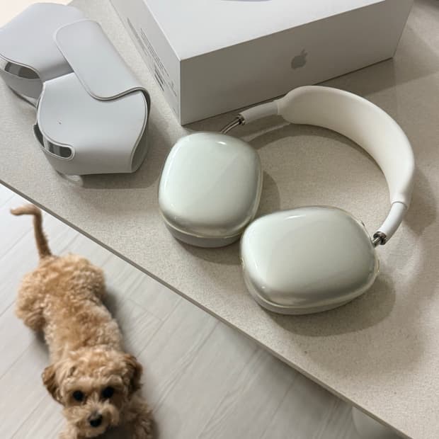 에어팟맥스 실버