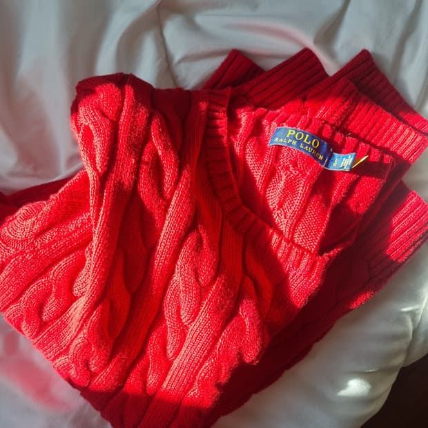 🎄겨울 추천🎄 폴로 니트 레드
