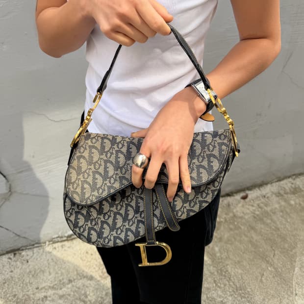 디올 오블리크 새들백