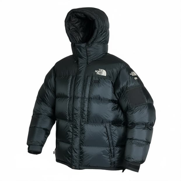노스페이스 구 발토르/발토로 800 패딩 L